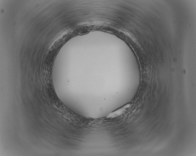 X0000072490967200608041412