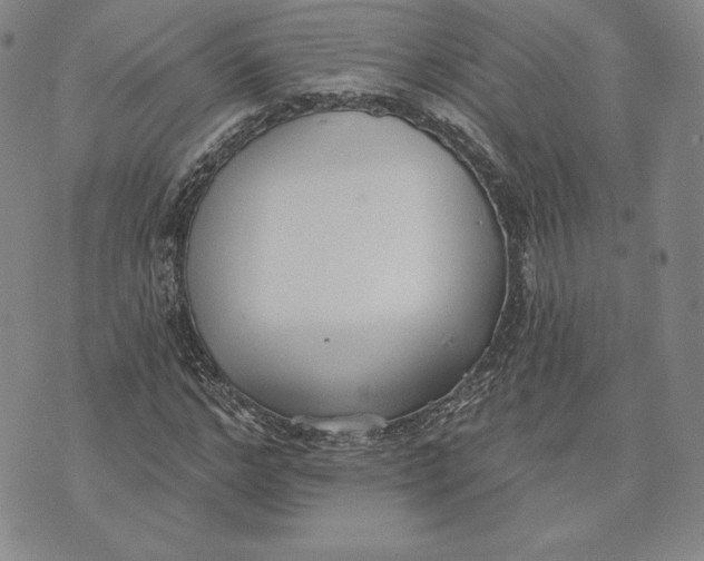 X0000072490968200608041412