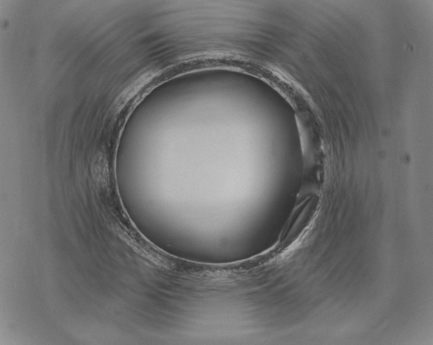 X0000072490969200608041412