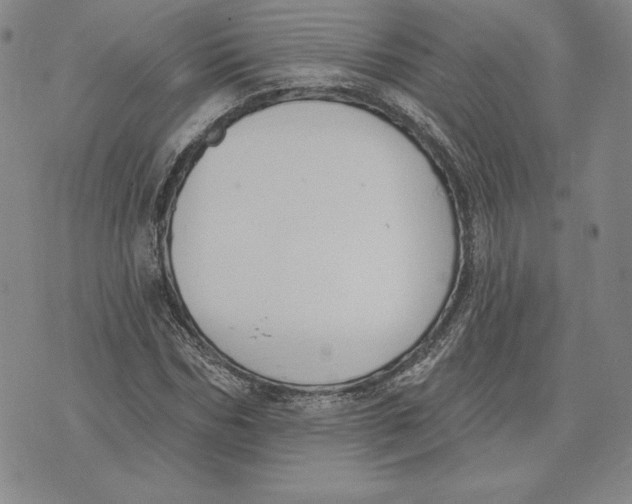 X0000072490970200608041412