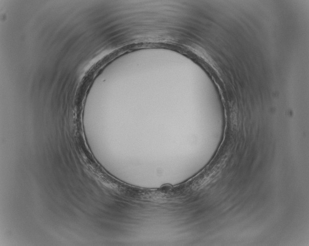 X0000072490971200608041412