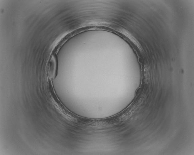 X0000072490972200608041412