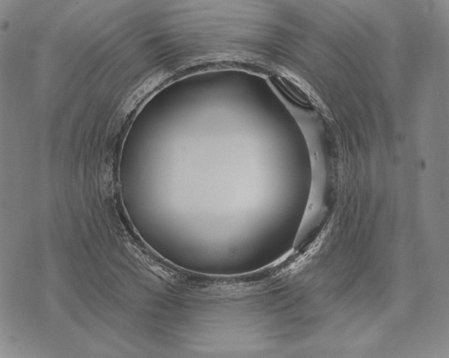 X0000072490977200608041412