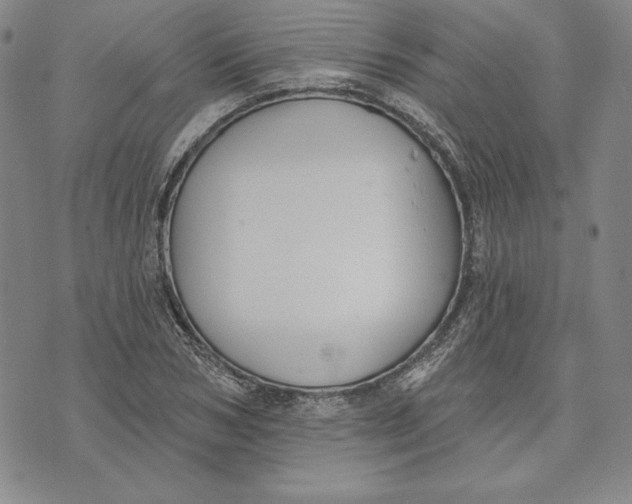 X0000072490978200608041412