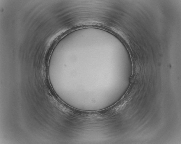 X0000072490979200608041412