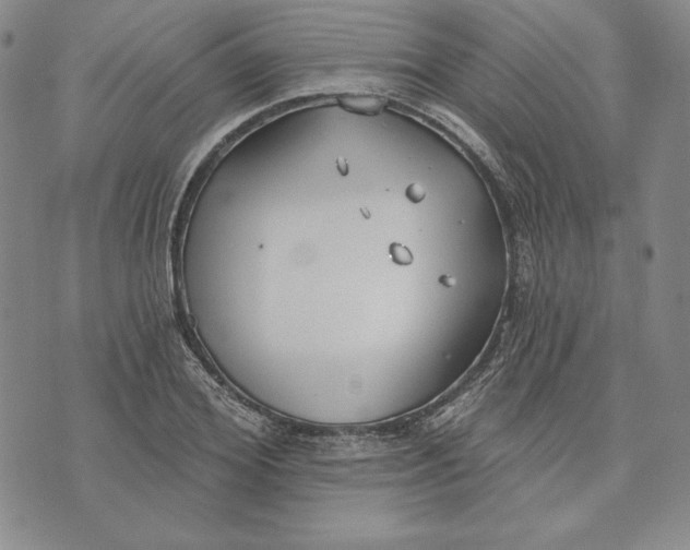 X0000072490980200608041412