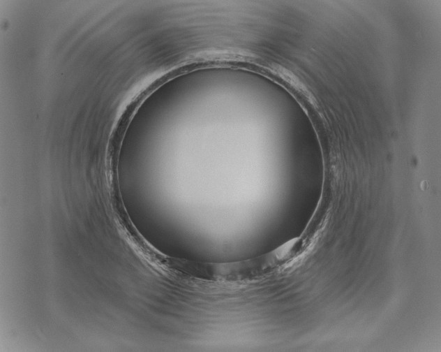 X0000072490981200608041411