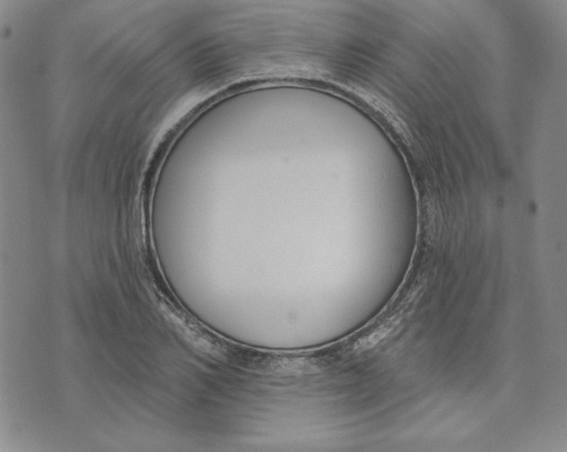 X0000072490982200608041411