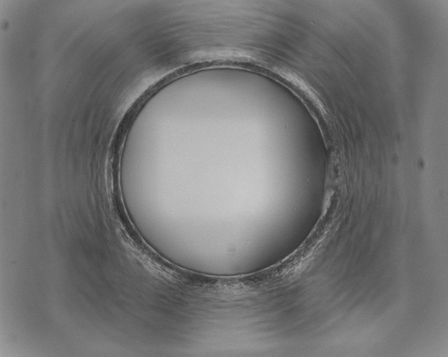 X0000072490983200608041411