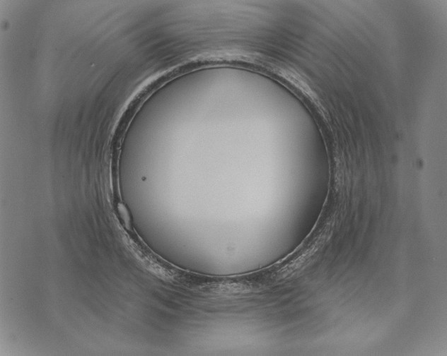 X0000072490984200608041411