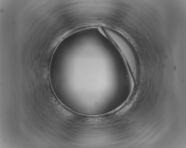 X0000072490985200608041411