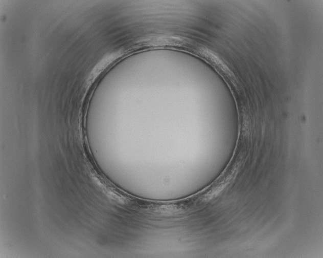 X0000072490986200608041411