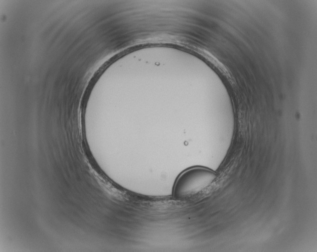 X0000072490988200608041411