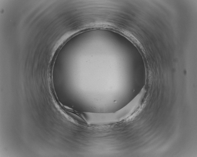 X0000072490989200608041411