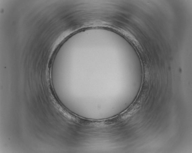 X0000072490990200608041411