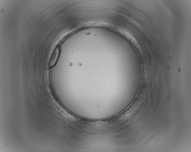 X0000072490992200608041411