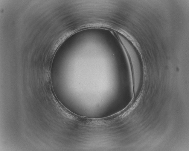 X0000072490993200608041411