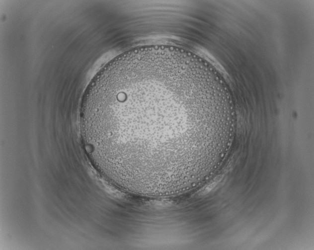 X0000072490994200608041411