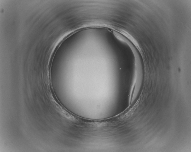 X0000072490996200608041411