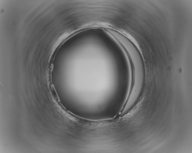 X0000072490997200608041411