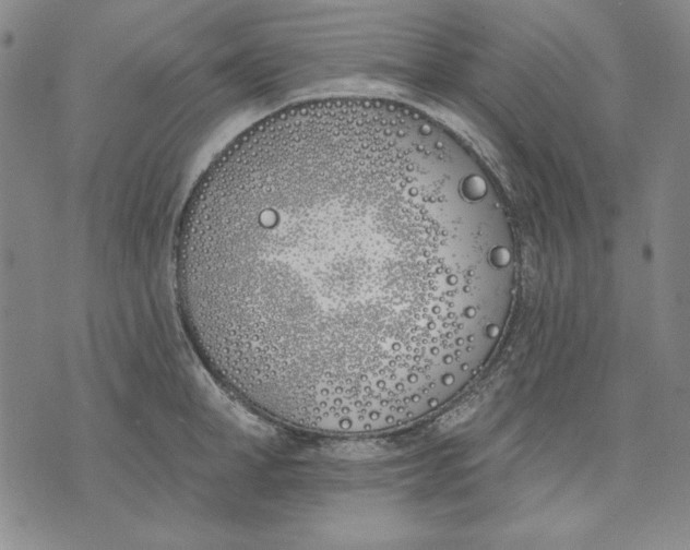 X0000072490998200608041411