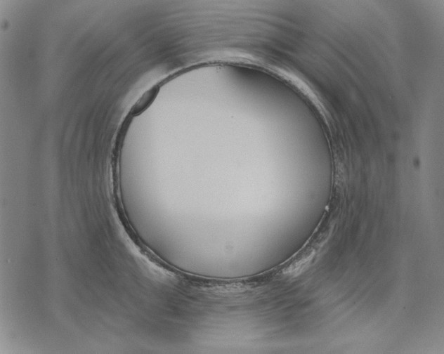 X0000072490999200608041411