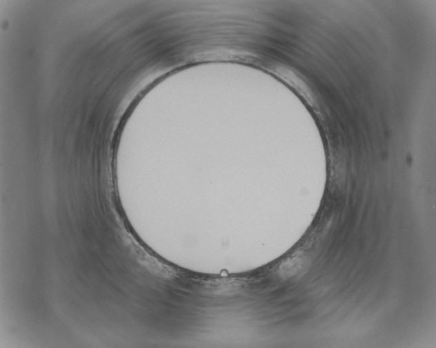 X0000072491000200608041411