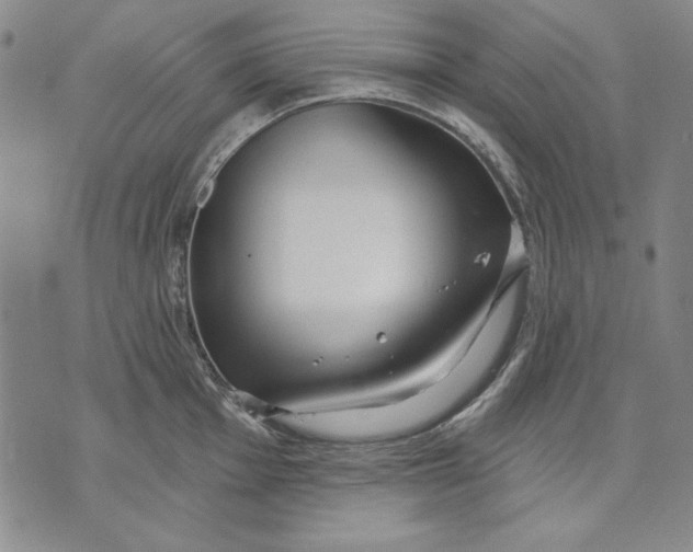 X0000072491001200608041411