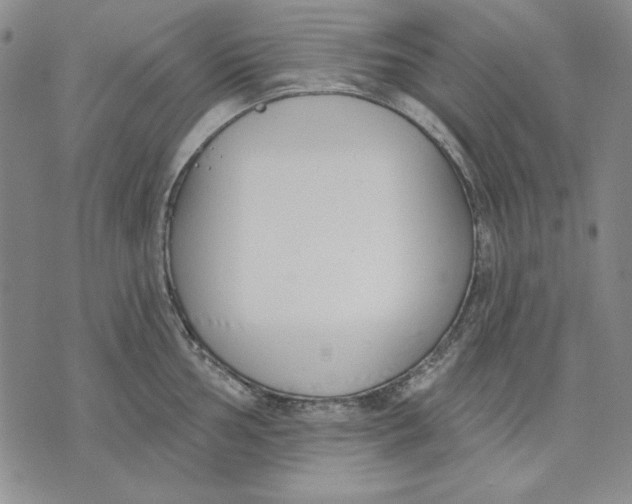 X0000072491002200608041411