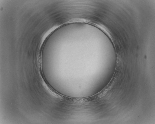 X0000072491003200608041411