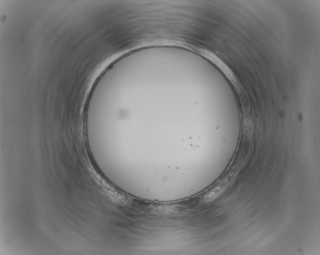 X0000072491004200608041411