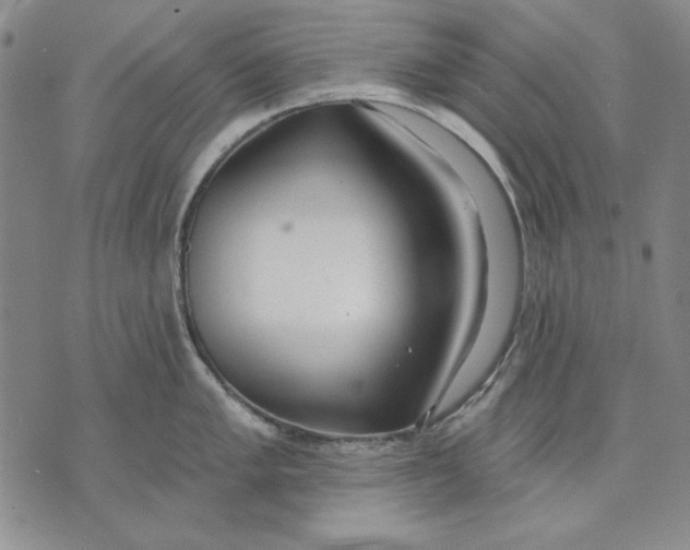 X0000072491005200608041411