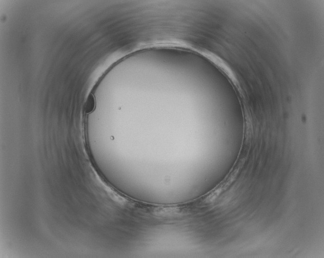 X0000072491006200608041411