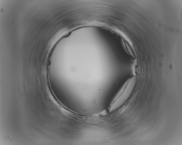 X0000072491007200608041411