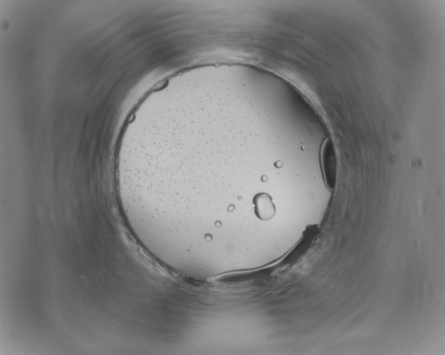 X0000072491008200608041411