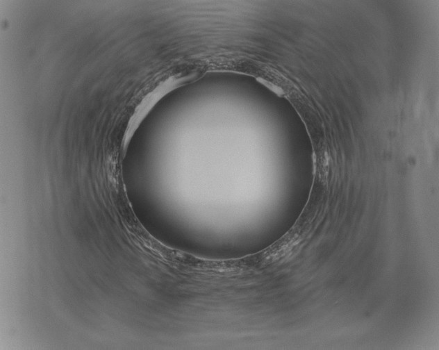 X0000072491010200608041410