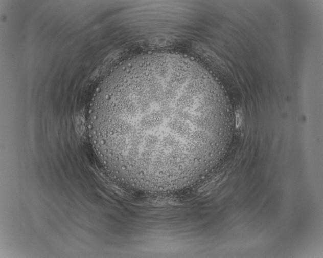 X0000072491011200608041410