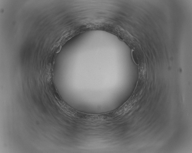 X0000072491012200608041410