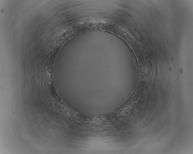 X0000072491013200608041410