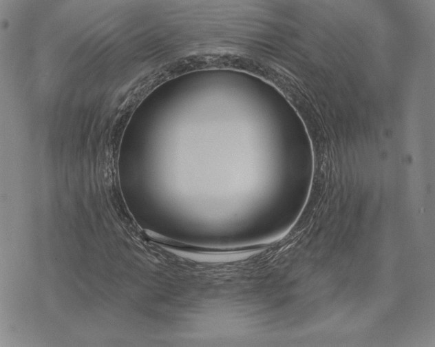 X0000072491014200608041410