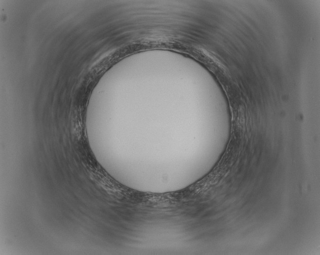 X0000072491015200608041410