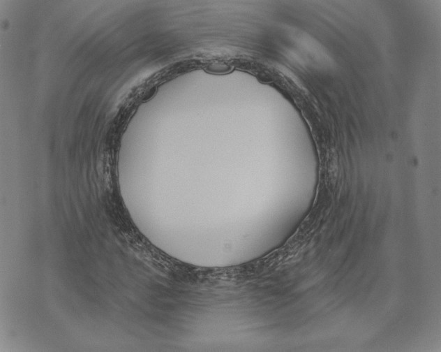 X0000072491016200608041410