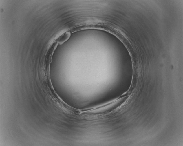 X0000072491018200608041410