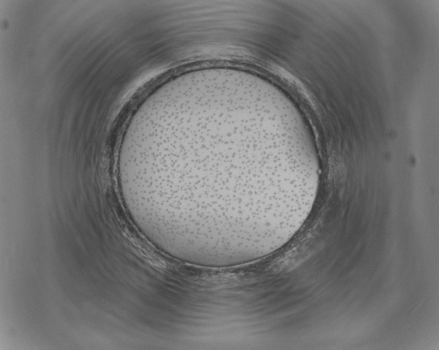 X0000072491019200608041410