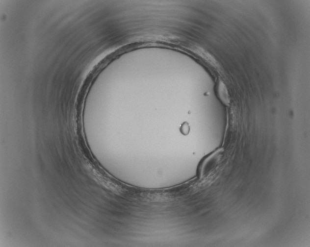 X0000072491020200608041410