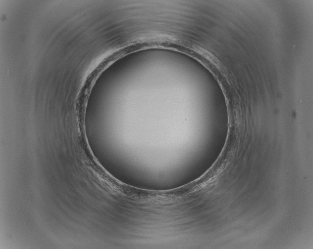 X0000072491022200608041410