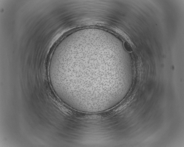 X0000072491023200608041411