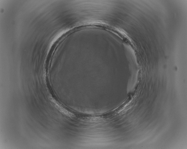 X0000072491024200608041411