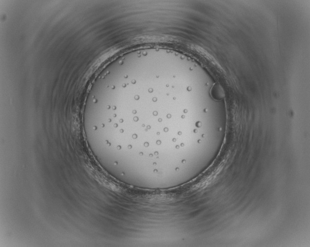 X0000072491025200608041411