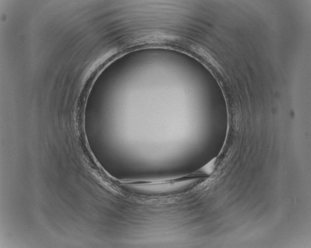 X0000072491026200608041411